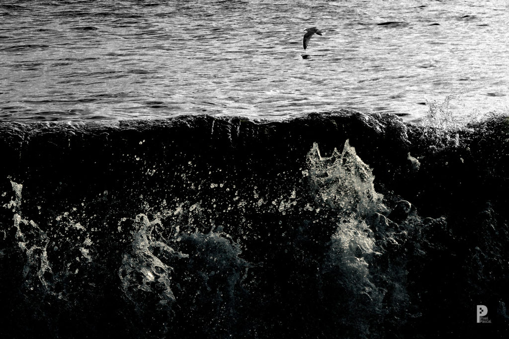vagues mer paysages
