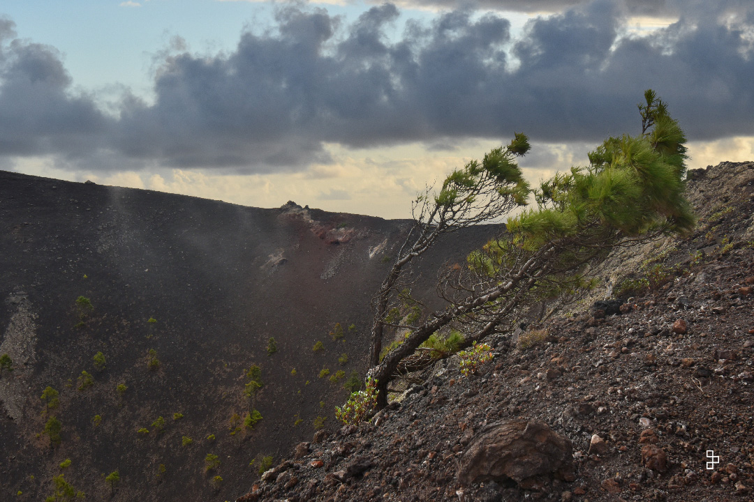 pin couché dans le cratère du volcan