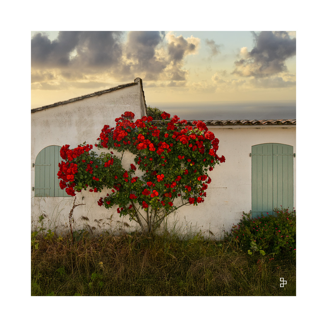 arbre-maison voyage paysages nature