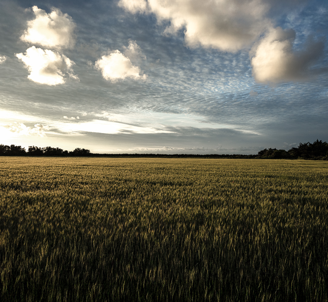 couche-du-soleil voyage paysages nature
